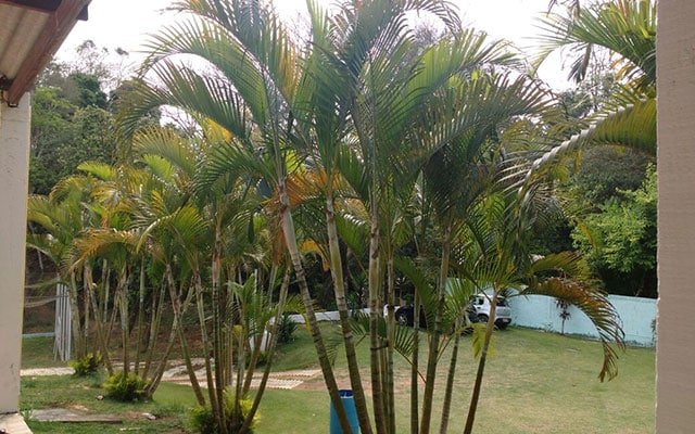 Unidade Cajamar SP 6